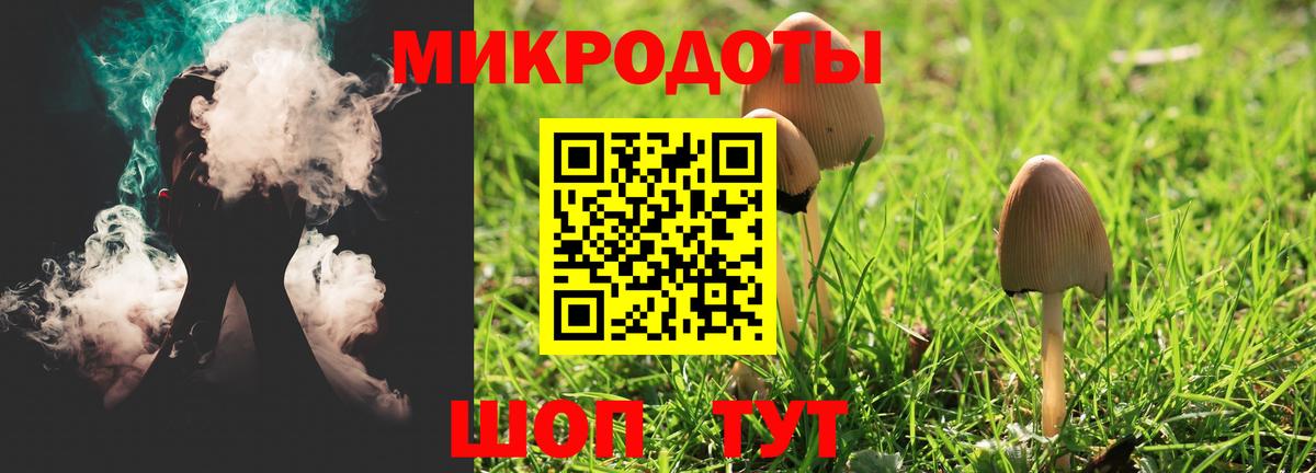 Галлюциногенные грибы Psilocybe Лесозаводск